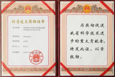 科技進(jìn)步叁等獎-陳衛(wèi)豐